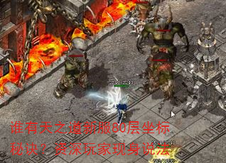 谁有天之道新服80层坐标秘诀?资深玩家现身说法 谁有天之道新服80层坐标秘诀?资深玩家现身说法