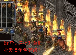 如何快速提升单职业天道角色等级? 如何快速提升单职业天道角色等级?
