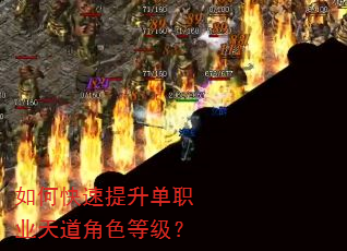 如何快速提升单职业天道角色等级? 如何快速提升单职业天道角色等级?