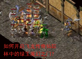 如何开启飞龙传奇仙踪林中的绿玉魔幻之门? 如何开启飞龙传奇仙踪林中的绿玉魔幻之门?