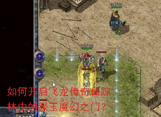 如何开启飞龙传奇仙踪林中的绿玉魔幻之门? 如何开启飞龙传奇仙踪林中的绿玉魔幻之门?