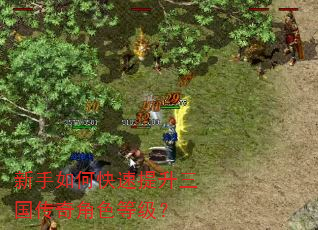 新手如何快速提升三国传奇角色等级? 新手如何快速提升三国传奇角色等级?