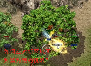���Ӧ��������ͼƵ����������ս��