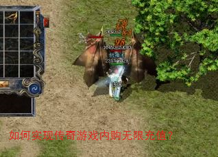 ���ʵ�ִ�����Ϸ�ڹ����޳�ֵ��