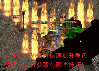 �����ţţ˽������������ɫ�ȼ���װ����ȡ����Щ���ɣ�