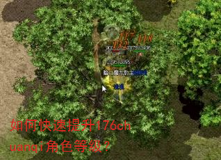 ��ο�������176chuanqi��ɫ�ȼ���