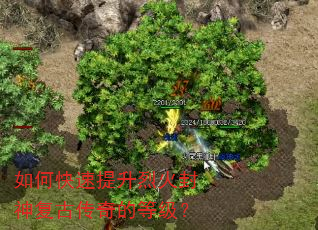 如何快速提升烈火封神复古传奇的等级? 如何快速提升烈火封神复古传奇的等级?