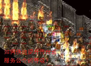如何快速提升传奇新服务公会的等级? 如何快速提升传奇新服务公会的等级?