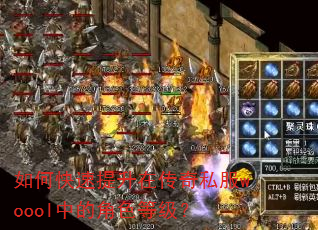 如何快速提升在传奇私服woool中的角色等级? 如何快速提升在传奇私服woool中的角色等级?