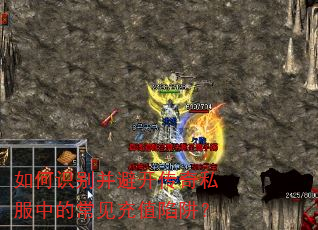 ���ʶ�𲢱ܿ�����˽���еĳ�����ֵ���壿