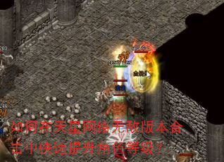 ��������������޵а汾�ϻ��п���������ɫ�ȼ���