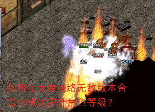 ��������������޵а汾�ϻ��п���������ɫ�ȼ���
