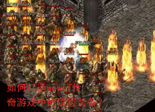 ��δ���wowsf������Ϸ�еĶ���װ����