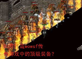��δ���wowsf������Ϸ�еĶ���װ����