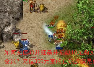 ��γ�ֵ40���񱩲�����10Ԫ�����׳��Ա����ֵ300Ԫ������ȷ������ʲô��