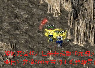 ��γ�ֵ40���񱩲�����10Ԫ�����׳��Ա����ֵ300Ԫ������ȷ������ʲô��
