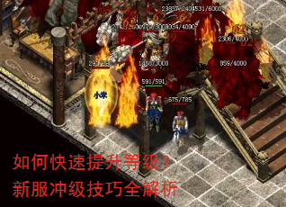 如何快速提升等级?新服冲级技巧全解析 如何快速提升等级?新服冲级技巧全解析