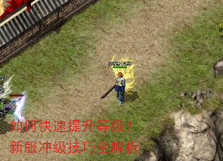 如何快速提升等级?新服冲级技巧全解析 如何快速提升等级?新服冲级技巧全解析