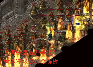 如何快速提升等级?新服冲级技巧全解析 如何快速提升等级?新服冲级技巧全解析