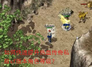 如何快速提升热血传奇私服sf版本角色等级? 如何快速提升热血传奇私服sf版本角色等级?