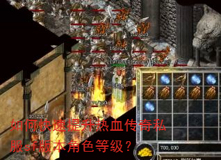 如何快速提升热血传奇私服sf版本角色等级? 如何快速提升热血传奇私服sf版本角色等级?