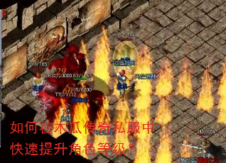 如何在木瓜传奇私服中快速提升角色等级? 如何在木瓜传奇私服中快速提升角色等级?