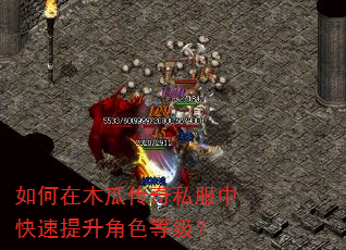 如何在木瓜传奇私服中快速提升角色等级? 如何在木瓜传奇私服中快速提升角色等级?
