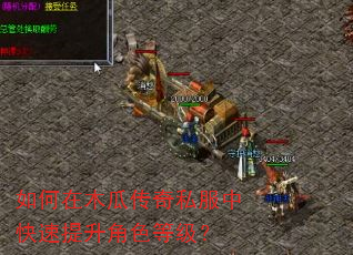 如何在木瓜传奇私服中快速提升角色等级? 如何在木瓜传奇私服中快速提升角色等级?