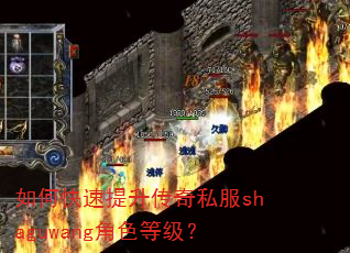 ��ο�����������˽��shaguwang��ɫ�ȼ���