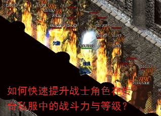 ��ο�������սʿ��ɫ�ڴ���˽���е�ս������ȼ���