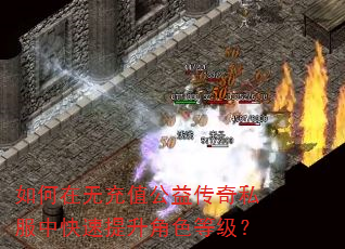 ������޳�ֵ���洫��˽���п���������ɫ�ȼ���