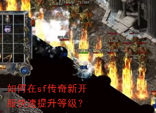 �����sf�����¿������������ȼ���