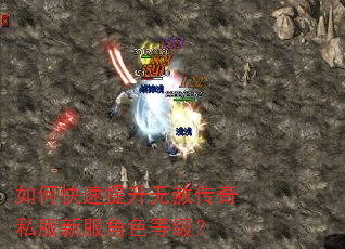 如何快速提升无赦传奇私服新服角色等级? 如何快速提升无赦传奇私服新服角色等级?