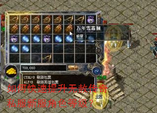 如何快速提升无赦传奇私服新服角色等级? 如何快速提升无赦传奇私服新服角色等级?