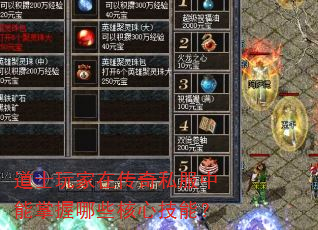 ��ʿ����ڴ���˽������������Щ���ļ��ܣ�