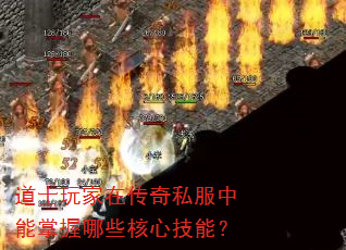 ��ʿ����ڴ���˽������������Щ���ļ��ܣ�