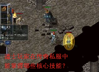 ��ʿ����ڴ���˽������������Щ���ļ��ܣ�