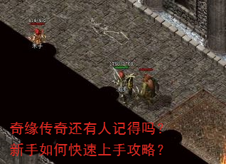 奇缘传奇还有人记得吗?新手如何快速上手攻略? 奇缘传奇还有人记得吗?新手如何快速上手攻略?